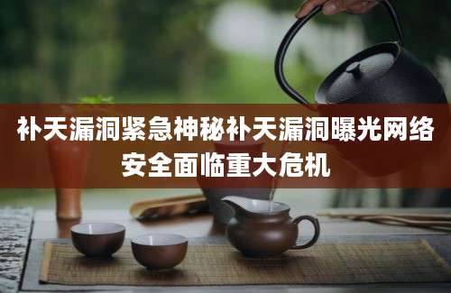 补天漏洞紧急神秘补天漏洞曝光网络安全面临重大危机