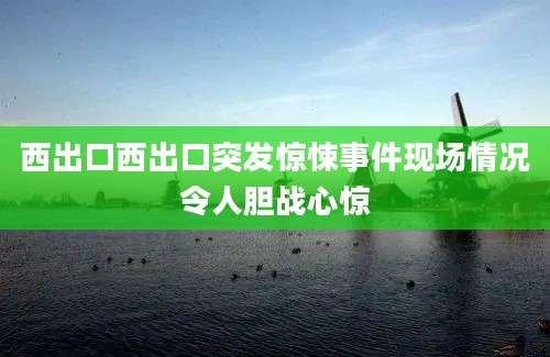 西出口西出口突发惊悚事件现场情况令人胆战心惊