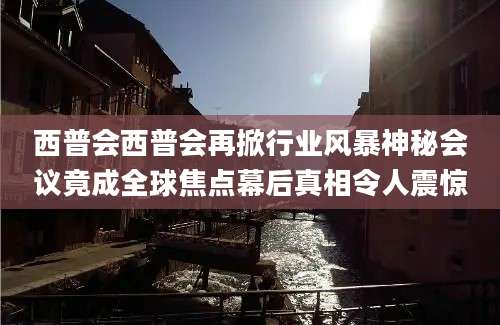西普会西普会再掀行业风暴神秘会议竟成全球焦点幕后真相令人震惊