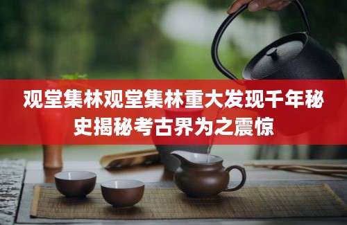观堂集林观堂集林重大发现千年秘史揭秘考古界为之震惊