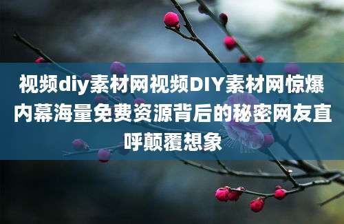 视频diy素材网视频DIY素材网惊爆内幕海量免费资源背后的秘密网友直呼颠覆想象