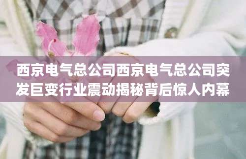西京电气总公司西京电气总公司突发巨变行业震动揭秘背后惊人内幕