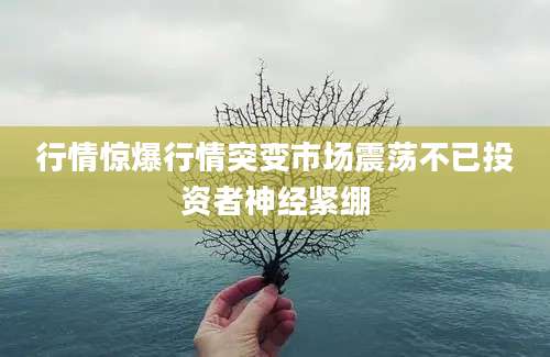 行情惊爆行情突变市场震荡不已投资者神经紧绷