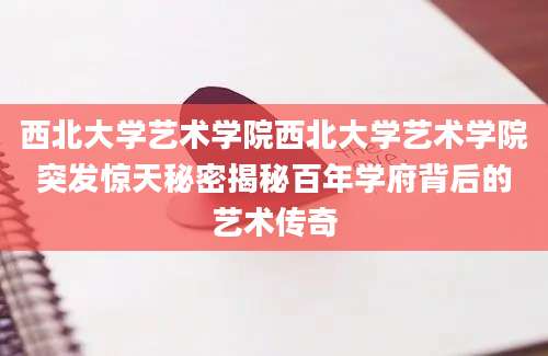 西北大学艺术学院西北大学艺术学院突发惊天秘密揭秘百年学府背后的艺术传奇
