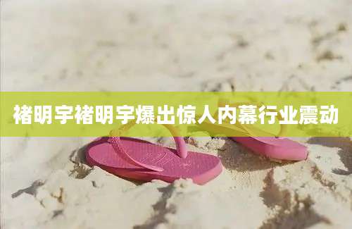 褚明宇褚明宇爆出惊人内幕行业震动