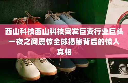 西山科技西山科技突发巨变行业巨头一夜之间震惊全球揭秘背后的惊人真相
