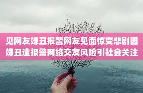见网友嫌丑报警网友见面惊变悲剧因嫌丑遭报警网络交友风险引社会关注