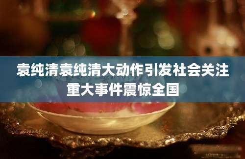 袁纯清袁纯清大动作引发社会关注重大事件震惊全国