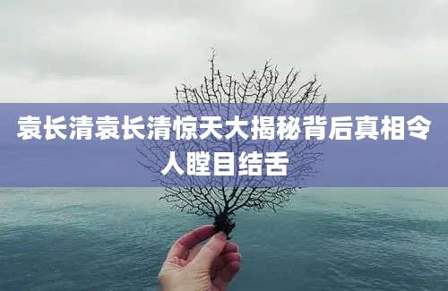 袁长清袁长清惊天大揭秘背后真相令人瞠目结舌