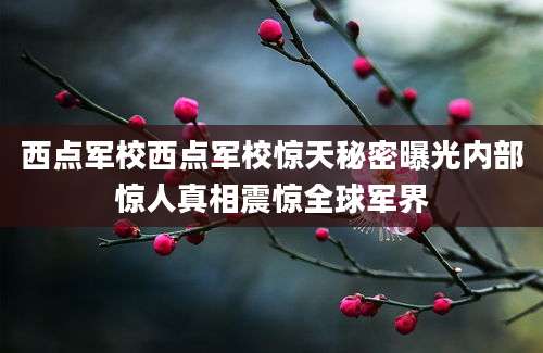 西点军校西点军校惊天秘密曝光内部惊人真相震惊全球军界