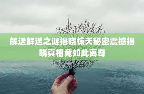 解送解送之谜揭晓惊天秘密震撼揭晓真相竟如此离奇
