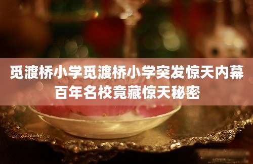 觅渡桥小学觅渡桥小学突发惊天内幕百年名校竟藏惊天秘密