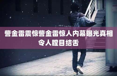 訾金雷震惊訾金雷惊人内幕曝光真相令人瞠目结舌