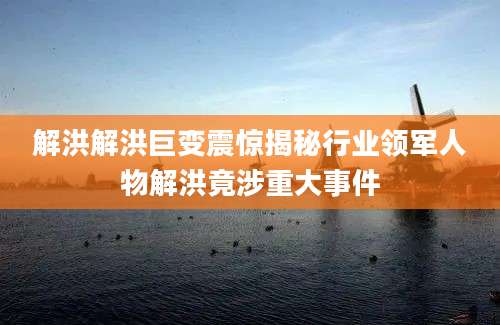 解洪解洪巨变震惊揭秘行业领军人物解洪竟涉重大事件