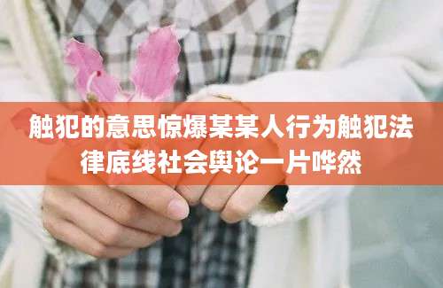 触犯的意思惊爆某某人行为触犯法律底线社会舆论一片哗然