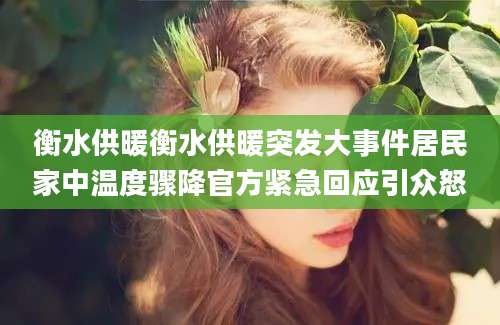 衡水供暖衡水供暖突发大事件居民家中温度骤降官方紧急回应引众怒