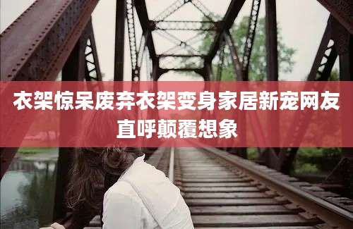 衣架惊呆废弃衣架变身家居新宠网友直呼颠覆想象