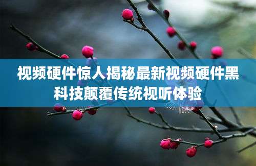 视频硬件惊人揭秘最新视频硬件黑科技颠覆传统视听体验