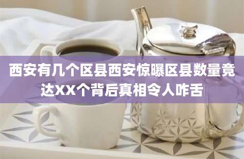 西安有几个区县西安惊曝区县数量竟达XX个背后真相令人咋舌
