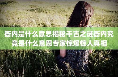 衙内是什么意思揭秘千古之谜衙内究竟是什么意思专家惊爆惊人真相