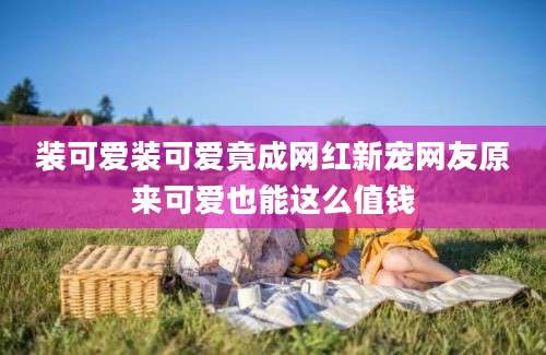 装可爱装可爱竟成网红新宠网友原来可爱也能这么值钱