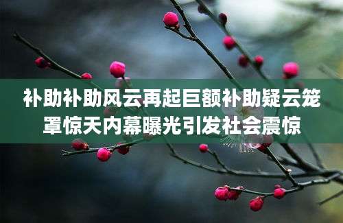补助补助风云再起巨额补助疑云笼罩惊天内幕曝光引发社会震惊