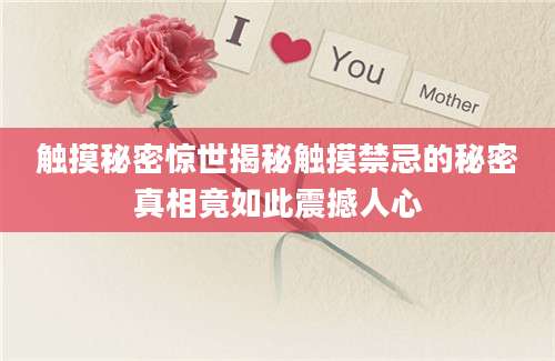 触摸秘密惊世揭秘触摸禁忌的秘密真相竟如此震撼人心