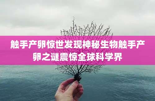 触手产卵惊世发现神秘生物触手产卵之谜震惊全球科学界