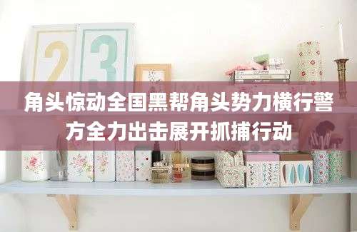 角头惊动全国黑帮角头势力横行警方全力出击展开抓捕行动