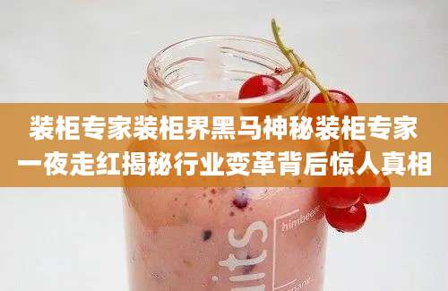 装柜专家装柜界黑马神秘装柜专家一夜走红揭秘行业变革背后惊人真相