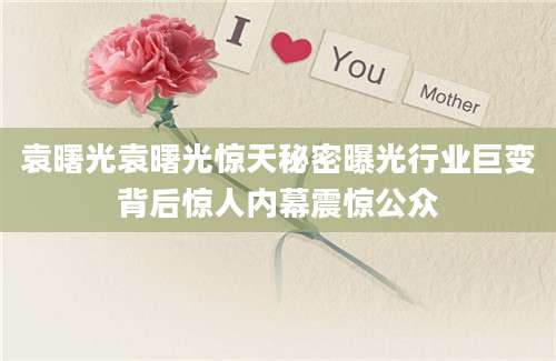 袁曙光袁曙光惊天秘密曝光行业巨变背后惊人内幕震惊公众