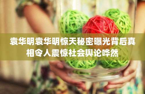 袁华明袁华明惊天秘密曝光背后真相令人震惊社会舆论哗然