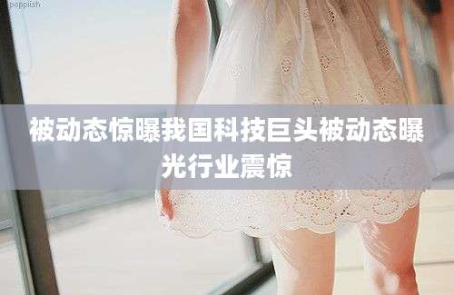 被动态惊曝我国科技巨头被动态曝光行业震惊
