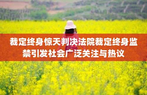 裁定终身惊天判决法院裁定终身监禁引发社会广泛关注与热议
