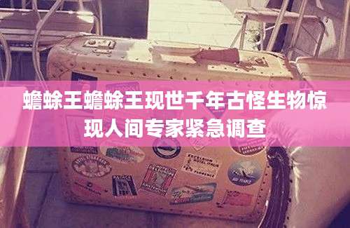蟾蜍王蟾蜍王现世千年古怪生物惊现人间专家紧急调查