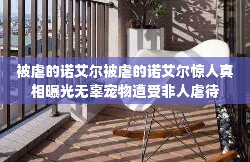 被虐的诺艾尔被虐的诺艾尔惊人真相曝光无辜宠物遭受非人虐待