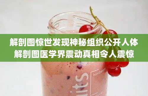 解剖图惊世发现神秘组织公开人体解剖图医学界震动真相令人震惊