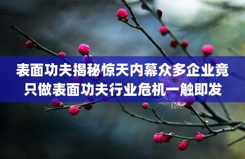 表面功夫揭秘惊天内幕众多企业竟只做表面功夫行业危机一触即发