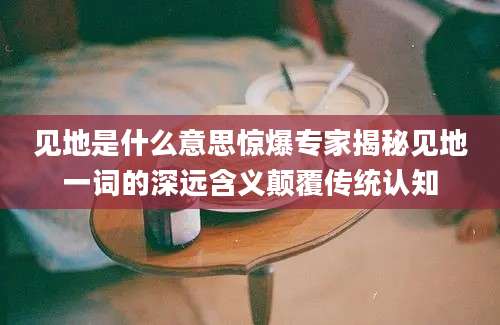 见地是什么意思惊爆专家揭秘见地一词的深远含义颠覆传统认知