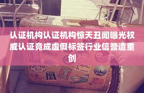 认证机构认证机构惊天丑闻曝光权威认证竟成虚假标签行业信誉遭重创