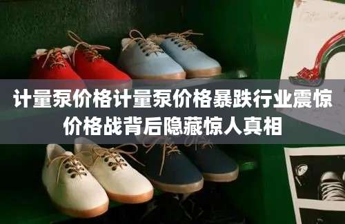 计量泵价格计量泵价格暴跌行业震惊价格战背后隐藏惊人真相