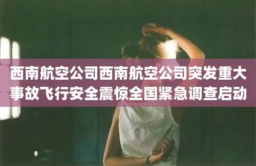 西南航空公司西南航空公司突发重大事故飞行安全震惊全国紧急调查启动