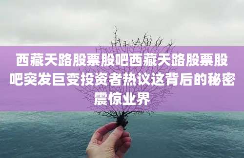 西藏天路股票股吧西藏天路股票股吧突发巨变投资者热议这背后的秘密震惊业界