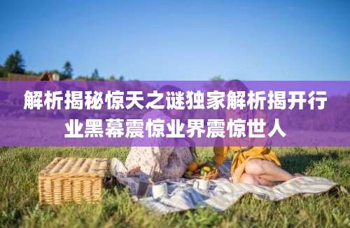 解析揭秘惊天之谜独家解析揭开行业黑幕震惊业界震惊世人