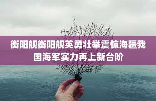 衡阳舰衡阳舰英勇壮举震惊海疆我国海军实力再上新台阶
