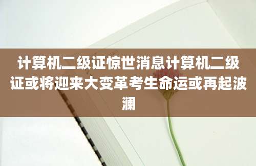 计算机二级证惊世消息计算机二级证或将迎来大变革考生命运或再起波澜