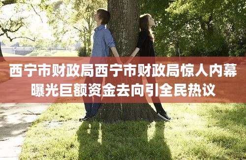 西宁市财政局西宁市财政局惊人内幕曝光巨额资金去向引全民热议