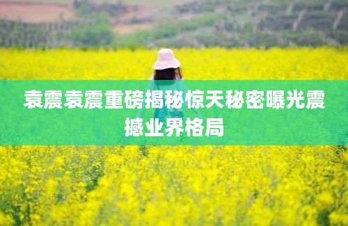 袁震袁震重磅揭秘惊天秘密曝光震撼业界格局