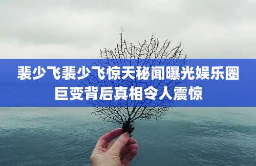 裴少飞裴少飞惊天秘闻曝光娱乐圈巨变背后真相令人震惊