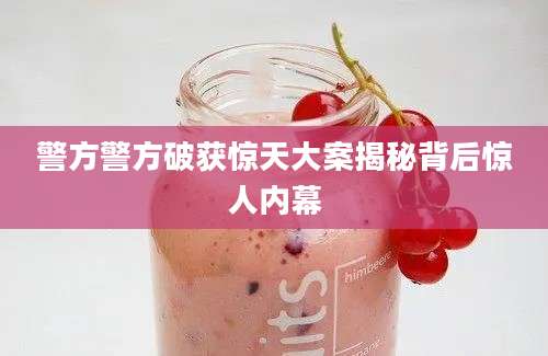 警方警方破获惊天大案揭秘背后惊人内幕